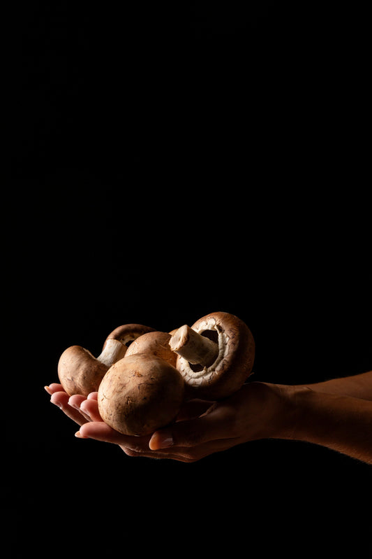 Learn how mushrooms support immunity, boost energy, and enhance overall health through powerful supplementation.